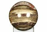 Colorful Polished Petrified Wood Sphere - Arizona #309208-2